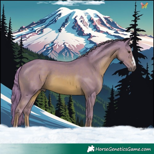 Horse Color:Watercolor Chestnut 