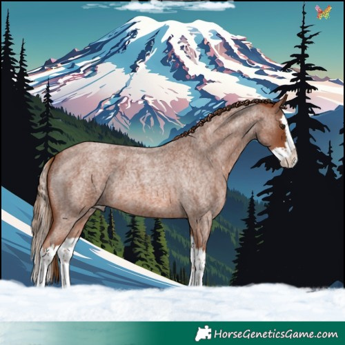 Horse Color:Red Roan Splash 