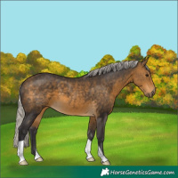 Horse Color:Silver Buckskin 