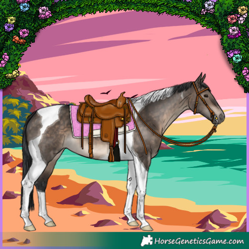 Horse Color:Brown Dun Tobiano 