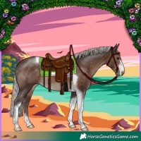 Horse Color:Silver Brown Tobiano