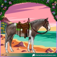 Horse Color:Silver Brown Tobiano