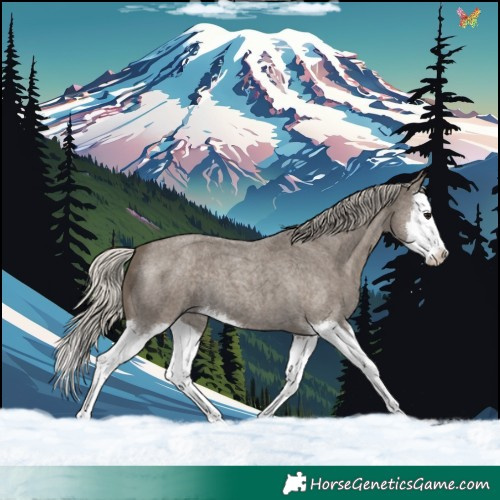 Horse Color:Silver Smoky Blue Roan Splash 