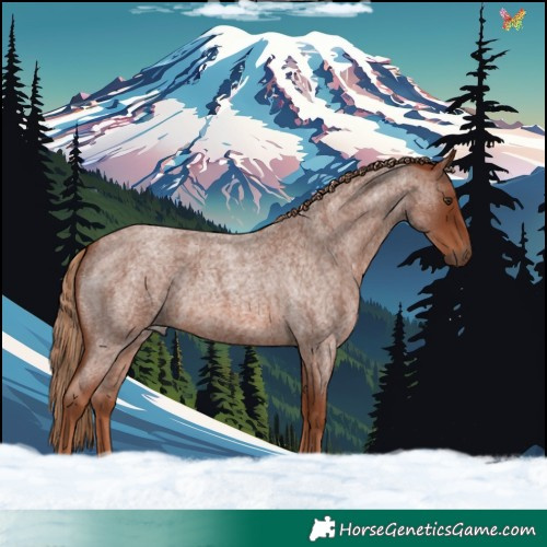 Horse Color:Red Roan 