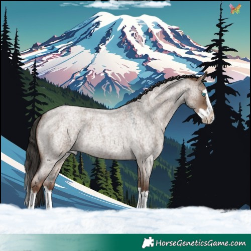Horse Color:Liver Red Dun Roan Splash 