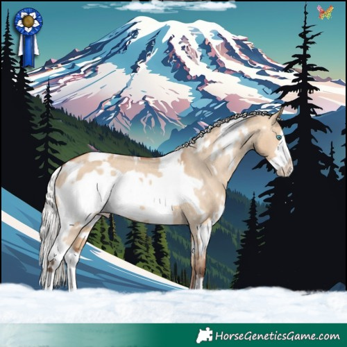 Horse Color:White Spotted Silver Bay Dun Frame Appaloosa 