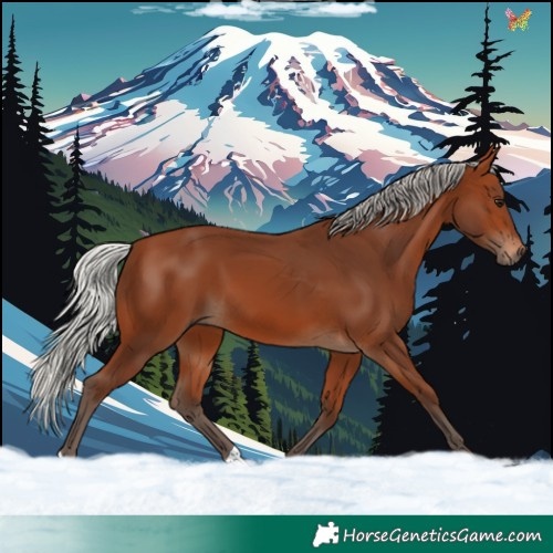 Horse Color:Silver Brown 