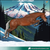 Horse Color:Silver Brown 