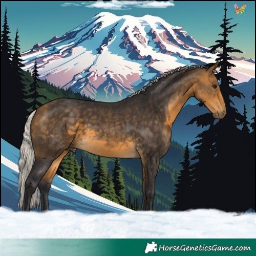 Horse Color:Silver Buckskin 