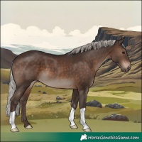 Horse Color:Silver Brown