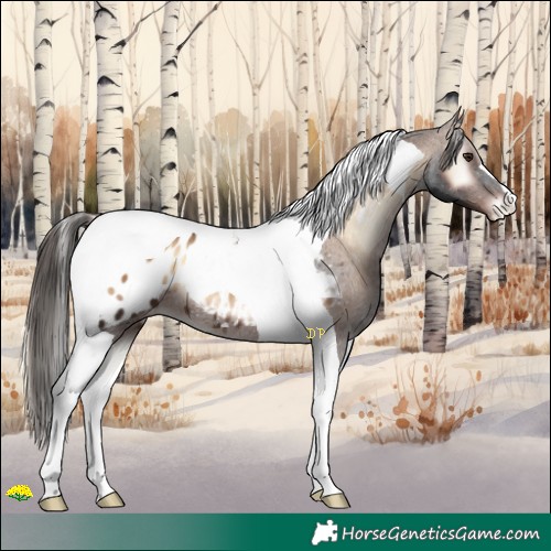 Horse Color:Liver Red Onyx Tobiano Blanket