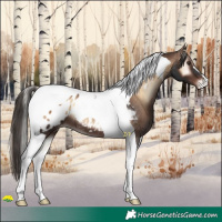 Horse Color:Liver Red Onyx Tobiano Blanket 