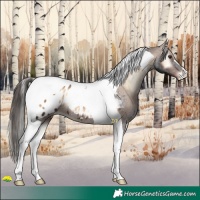 Horse Color:Liver Red Onyx Tobiano Appaloosa 