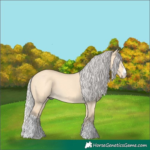 Horse Color:Silver Buckskin Dun Sabino 
