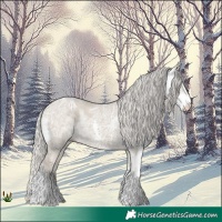 Horse Color:Silver Smoky Grullo Ice Sabino