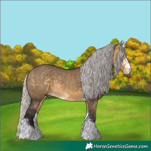 Horse Color:Silver Buckskin Dun Sabino 