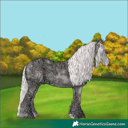 Horse Color:Cremello Ice Dun Sabino 