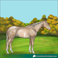 Horse Color:Chocolate Palomino Pearl Mushroom Sabino