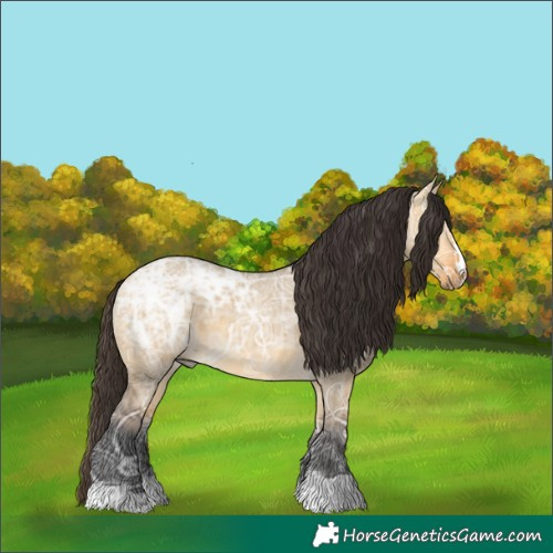 Horse Color:Buckskin Ice Dun 