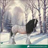 Horse Color:Brown Ice Roan Splash
