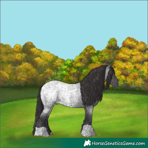 Horse Color:Smoky Blue Ice Roan 