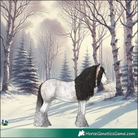 Horse Color:Bay Ice Roan Splash