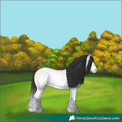 Horse Color:Brown Ice Roan Splash 