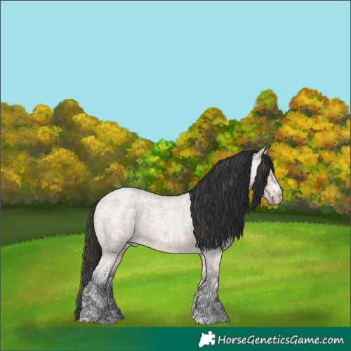 Horse Color:Brown Ice Roan Dun 