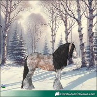 Horse Color:Brown Ice Rabicano