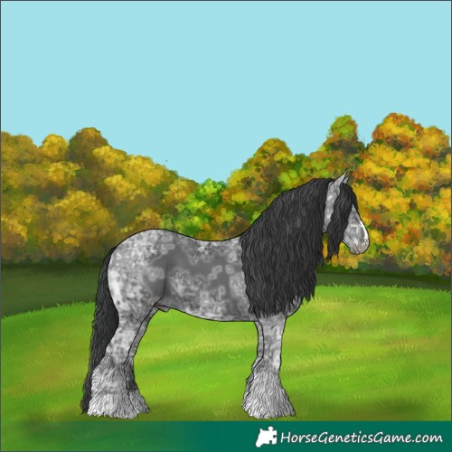 Horse Color:Black Ice 