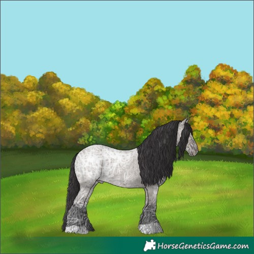 Horse Color:Smoky Grullo Ice Roan 