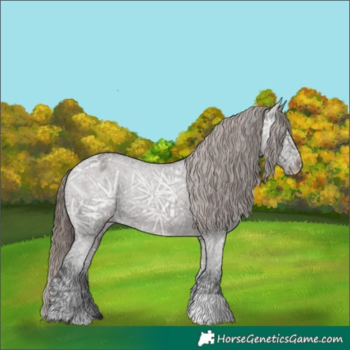 Horse Color:Grullo Ice Appaloosa 