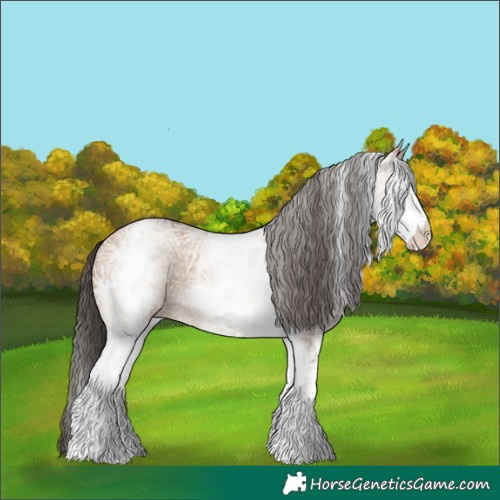Horse Color:White Spotted Bay Ice Dun 
