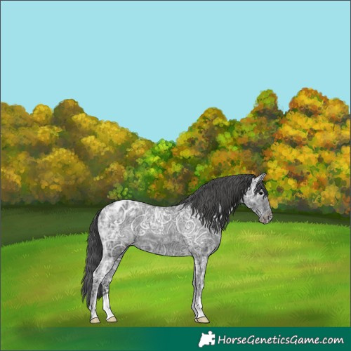 Horse Color:Black Ice Varnish 
