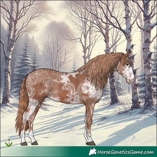 Horse Color:Chestnut Ice Rabicano 