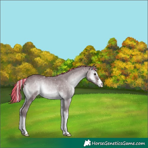 Horse Color:Platinum Painted Chocolate Silver Blue Onyx Chinchilla 