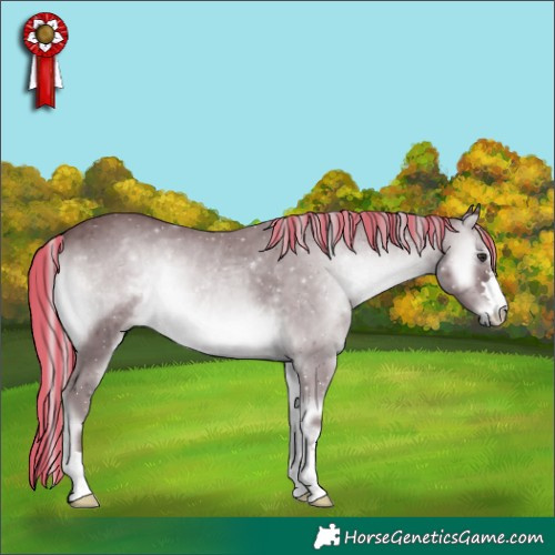 Horse Color:Platinum Painted Chocolate Silver Blue Onyx Chinchilla 
