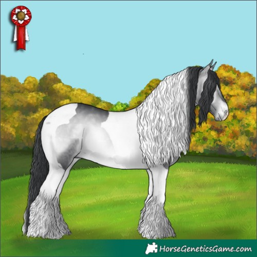 Horse Color:Platinum Brown Chinchilla Onyx Tobiano 