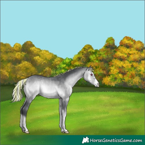 Horse Color:Painted Silver Bay Chinchilla Onyx 