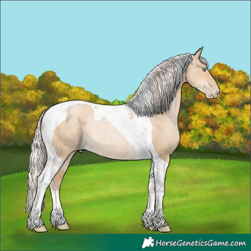Horse Color:Silver Smoky Grullo Pearl Tobiano Rabicano 