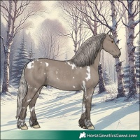 Horse Color:White Spotted Silver Grullo Rabicano 