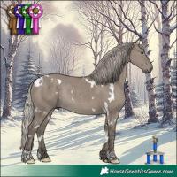 Horse Color:White Spotted Silver Grullo Rabicano
