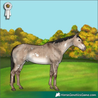 Horse Color:White Spotted Liver Red Dun Brindle 
