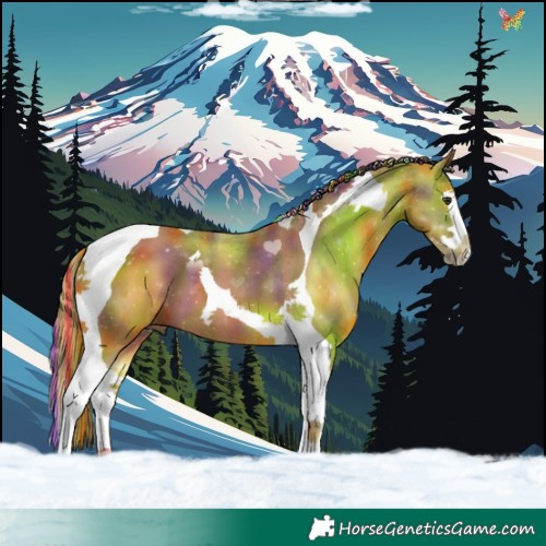 Horse Color:Painted Nacre Chestnut Splash Tobiano 
