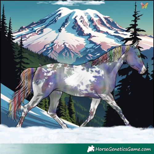 Horse Color:Painted Nacre Silver Grullo Tobiano Rabicano 