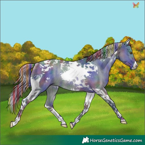 Horse Color:Painted Nacre Silver Grullo Tobiano Rabicano 