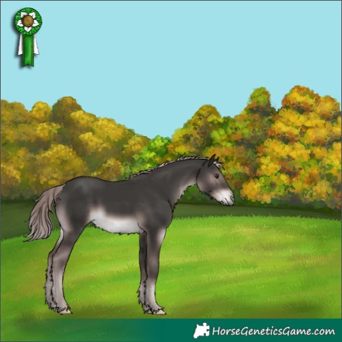 Horse Color:Platinum Liver Chestnut 