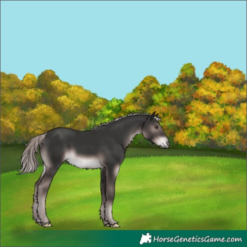 Horse Color:Platinum Liver Chestnut 