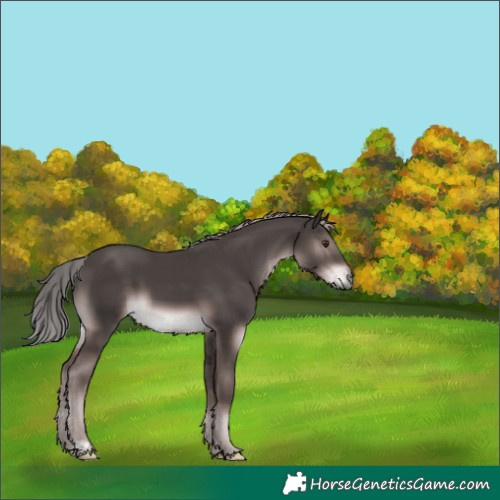Horse Color:Platinum Liver Chestnut