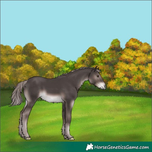 Horse Color:Platinum Liver Chestnut 